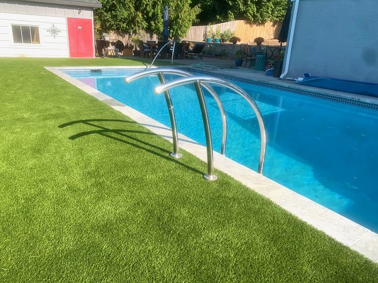 Cỏ cạnh hồ bơi