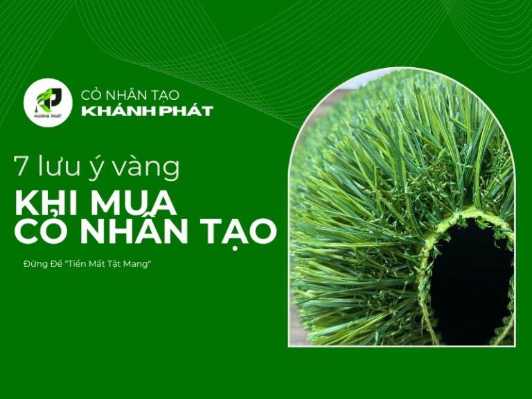 Mẫu cỏ nhân tạo cần kiểm tra kỹ trước khi mua Mẫu cỏ nhân tạo cần kiểm tra kỹ trước khi mua
