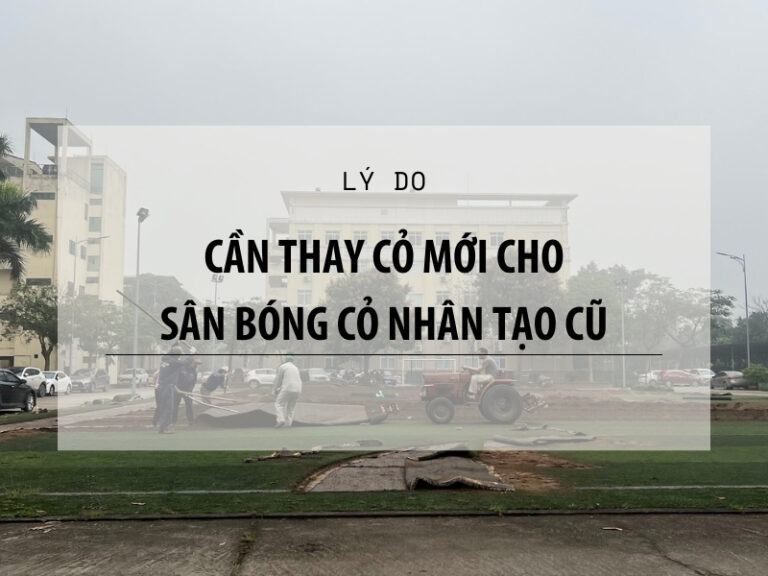Mặt sân bóng cỏ nhân tạo cũ cần thay cỏ mới Mặt sân bóng cỏ nhân tạo cũ cần thay cỏ mới