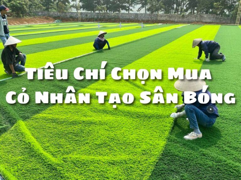 Mẫu cỏ nhân tạo sân bóng dùng để đánh giá chất lượng Mẫu cỏ nhân tạo sân bóng dùng để đánh giá chất lượng