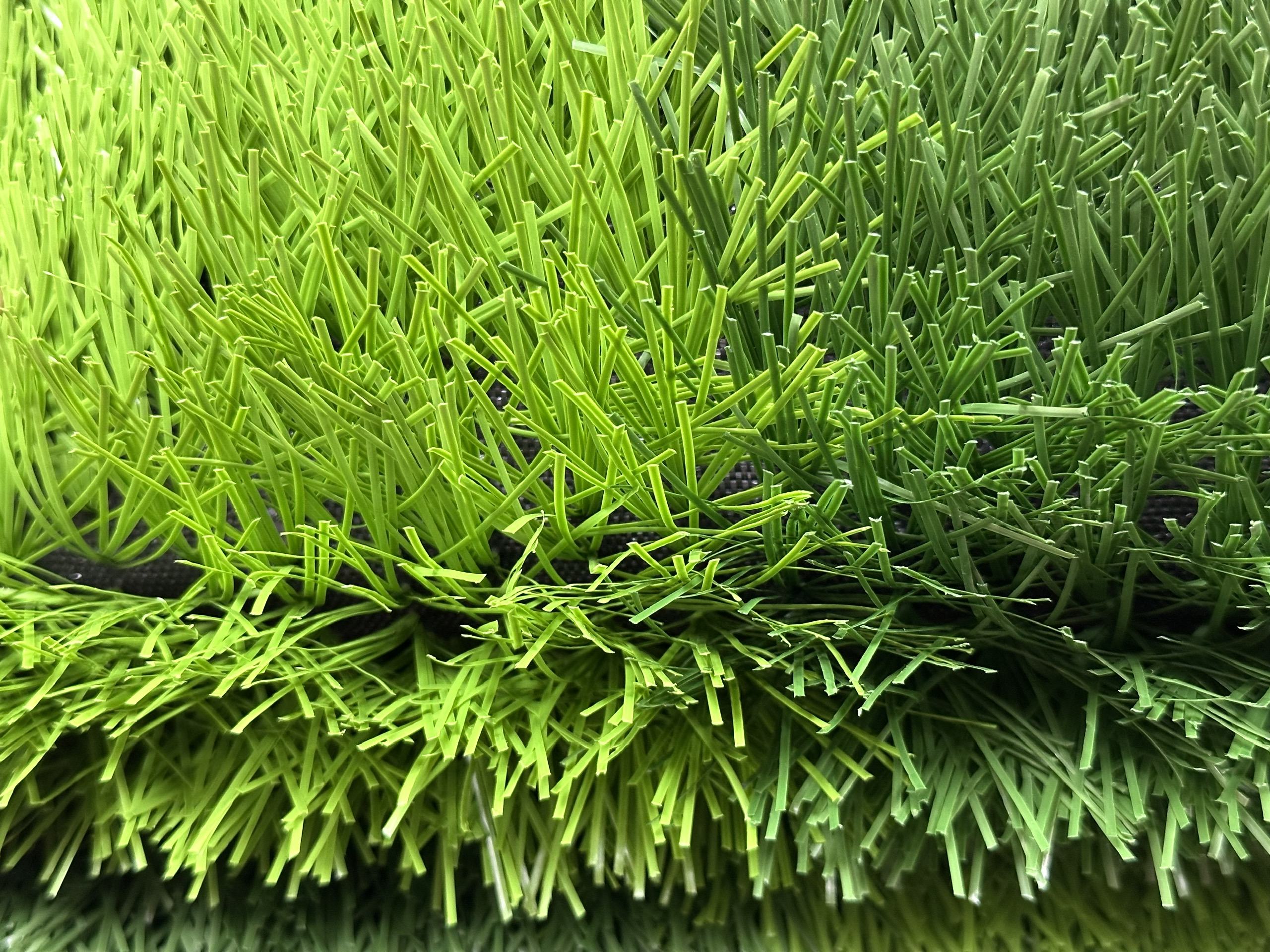 z6113089788144 a979a307efba8d6d6cbf1f04fd2c3638