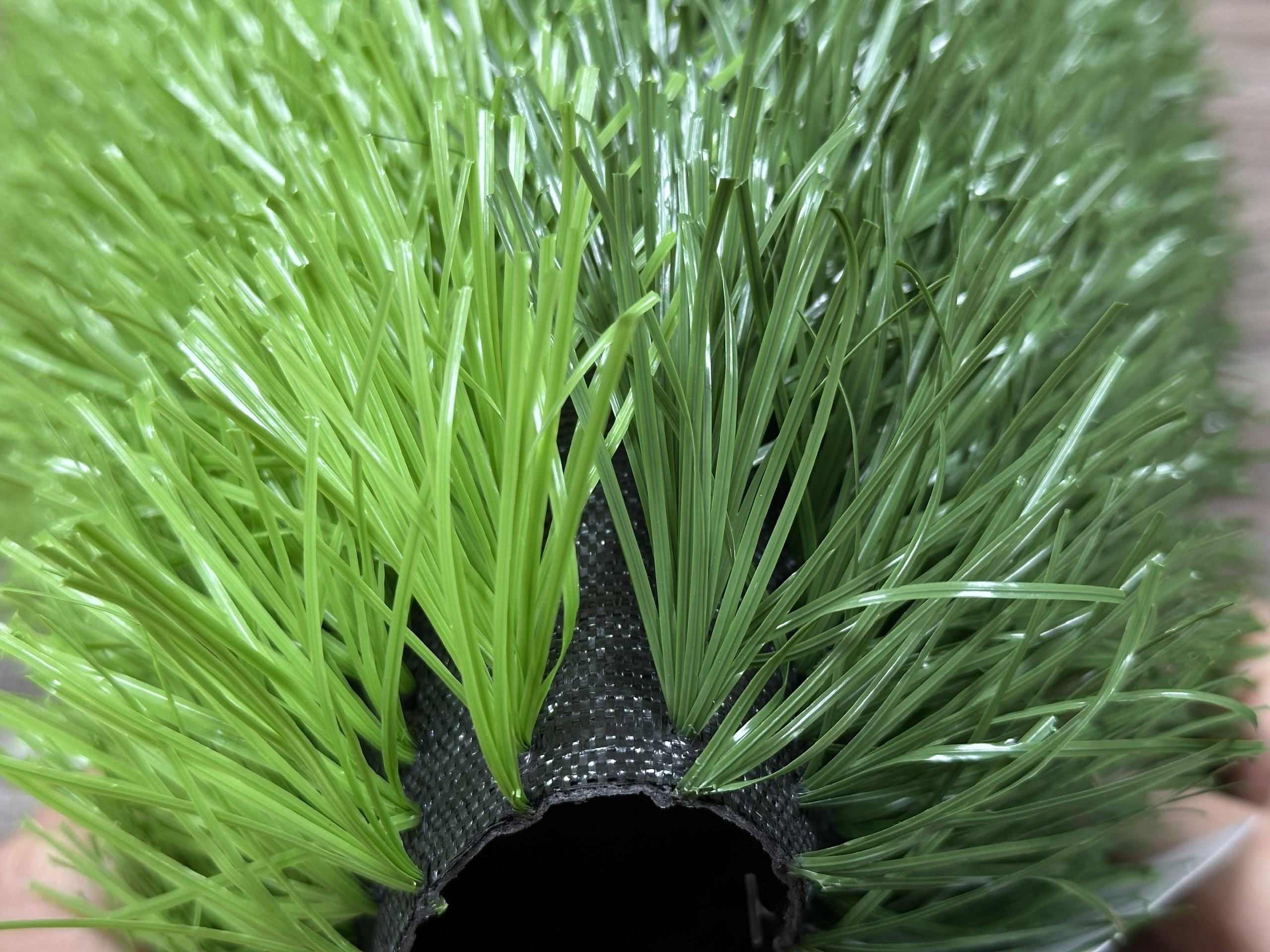 z6115378765661 0876d8d5493ceba4c9743a01205ac5c7