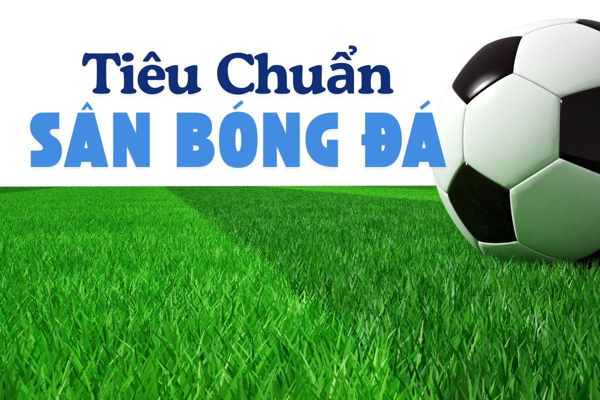 Tiêu Chuẩn Sân Bóng Đá: Hướng Dẫn Toàn Diện Từ Chuyên Gia