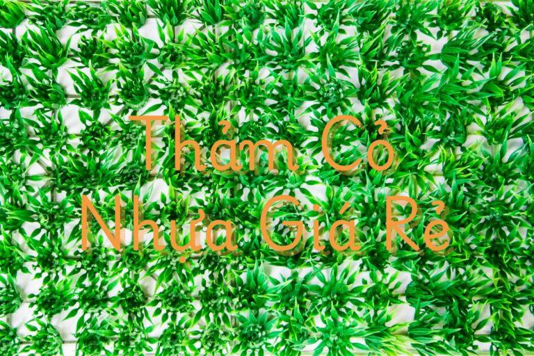 Thảm Cỏ Nhựa Giá Rẻ – Bí Quyết Chọn Mẫu Đẹp, Bền Lâu