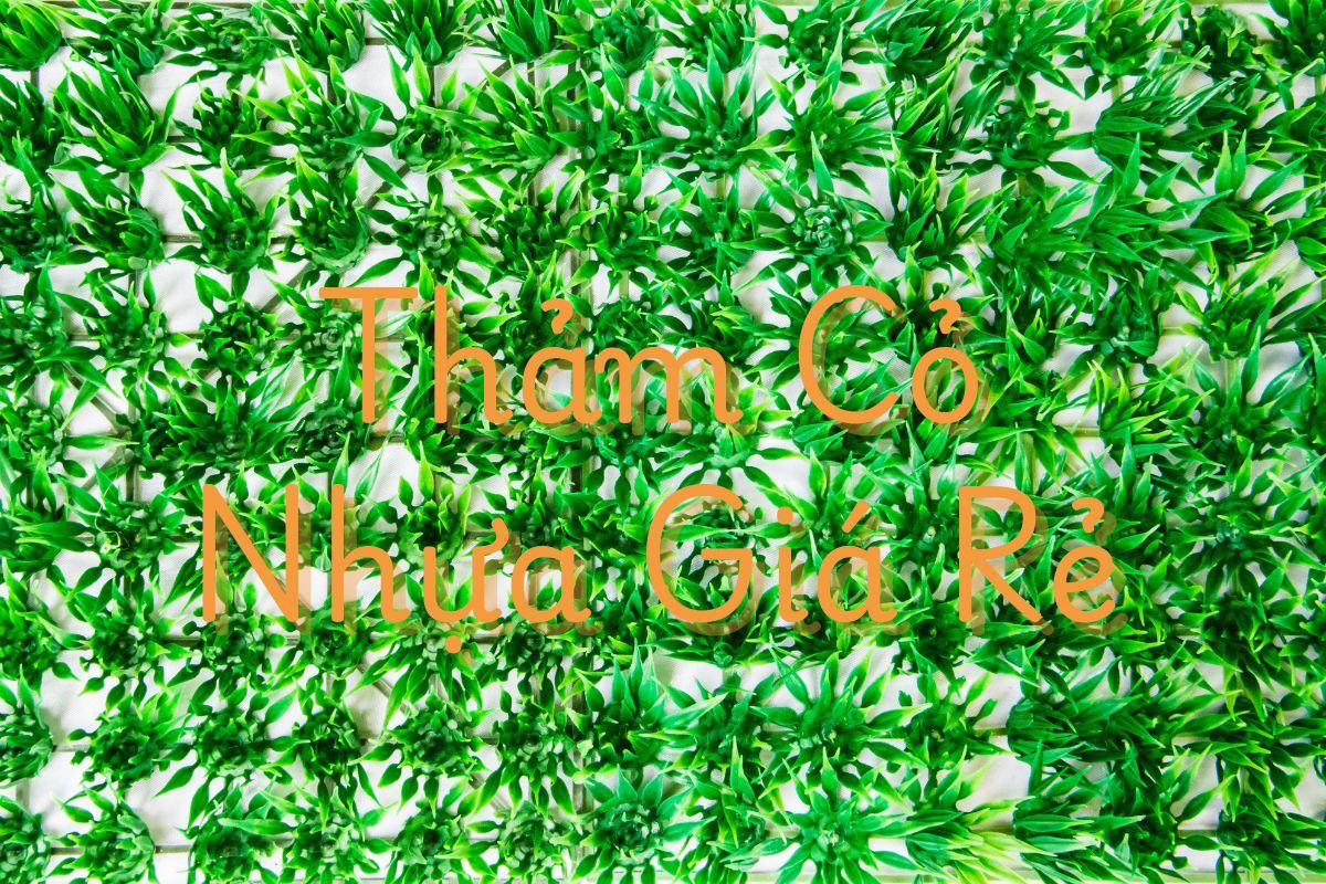 Thảm Cỏ Nhựa Giá Rẻ – Bí Quyết Chọn Mẫu Đẹp, Bền Lâu